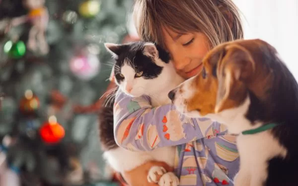 ¿Cuál es el mejor seguro para mascotas?