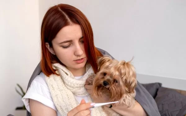 10 remedios caseros seguros para mascotas