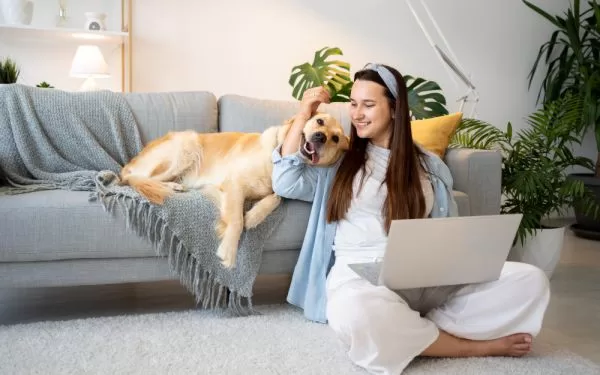 Cómo enriquecer el ambiente para mascotas en apartamentos