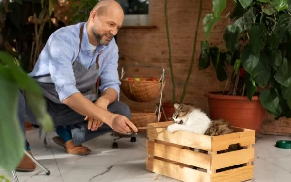 Cómo crear espacios verdes para mascotas en casa