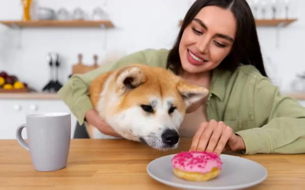 Alimentos prohibidos para mascotas que parecen inofensivos